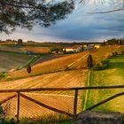 Quadretto sul Chianti