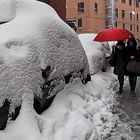 QUADRI DI NEVE A BOLOGNA / SQUARES OF SNOW IN BOLOGNA - 10