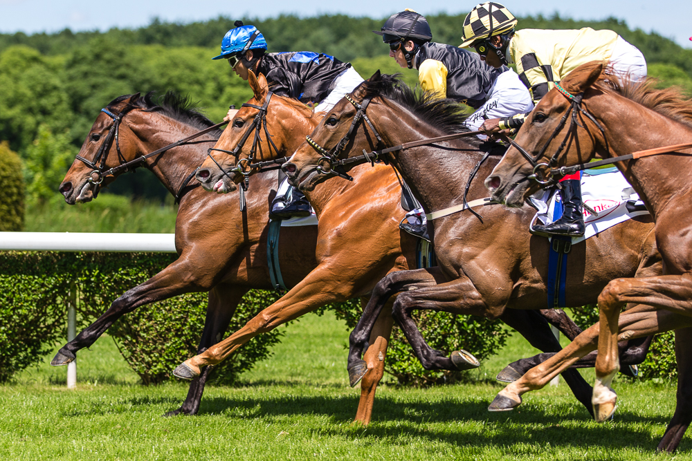 Quadriga