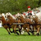 Quadriga