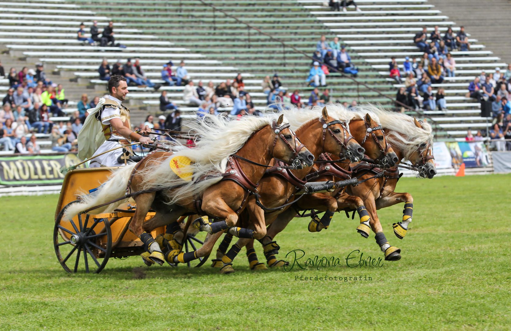Quadriga Foto & Bild fotos, people, dokumentation Bilder auf