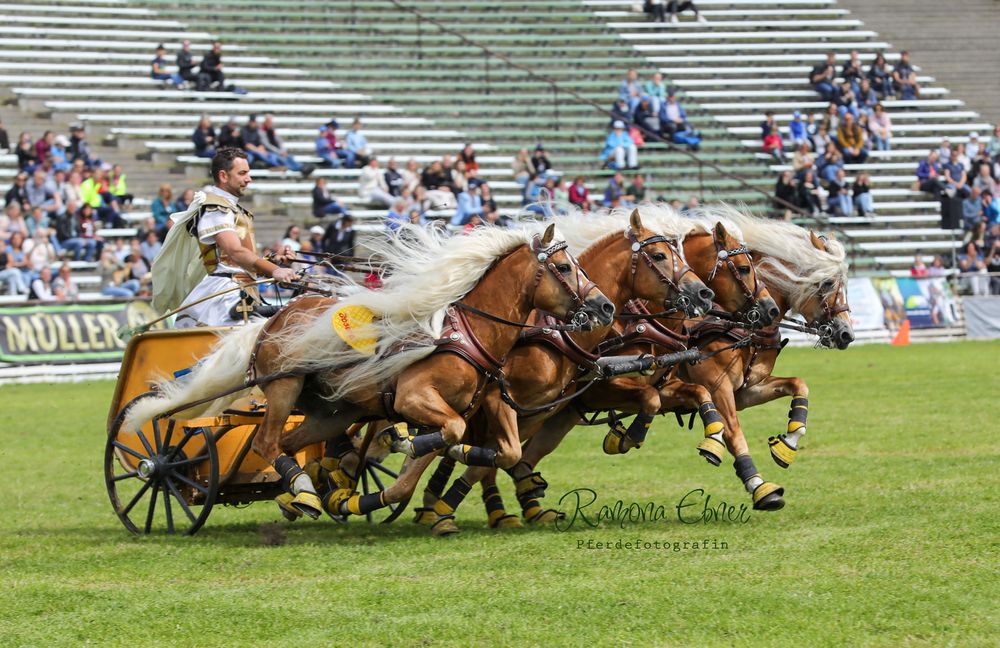 Quadriga