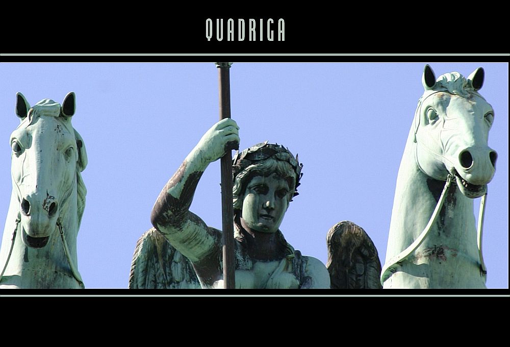 QUADRIGA CUT