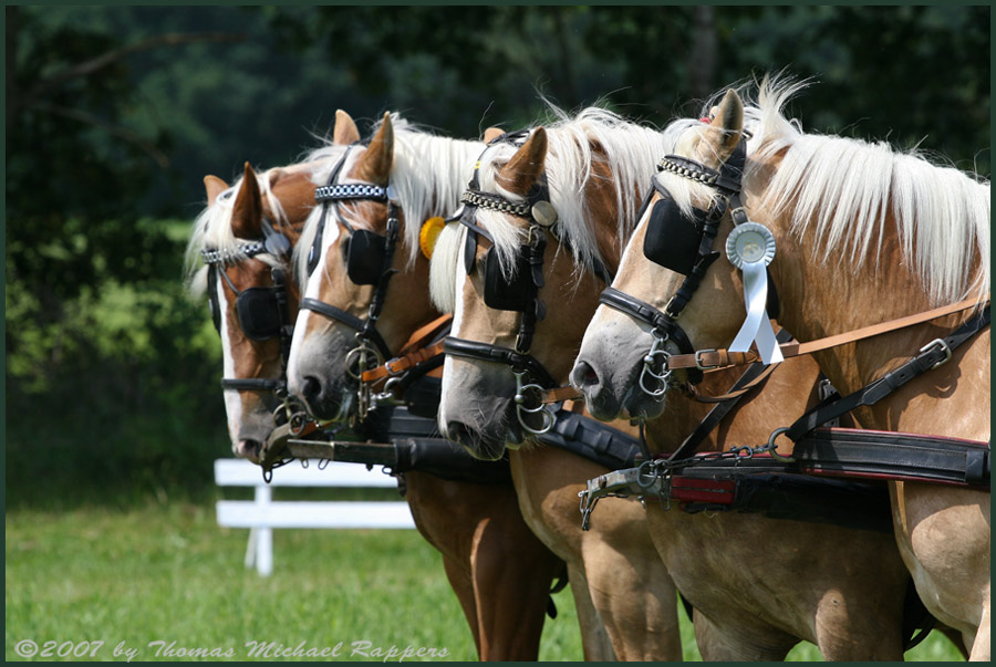 ... Quadriga? ...