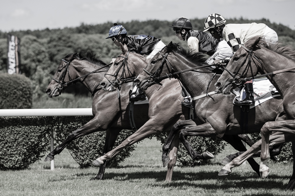 Quadriga II