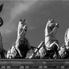 Quadriga SW