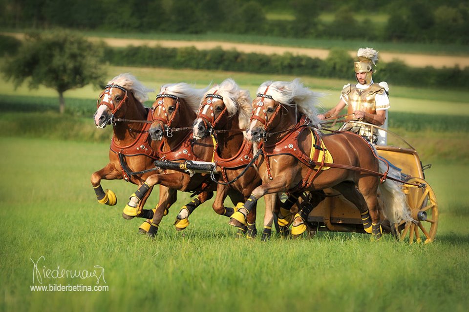 Quadriga von Claus Luber