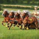 Quadriga von Claus Luber