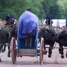 Quadriga, Wagenrennen Römerfest Obernburg