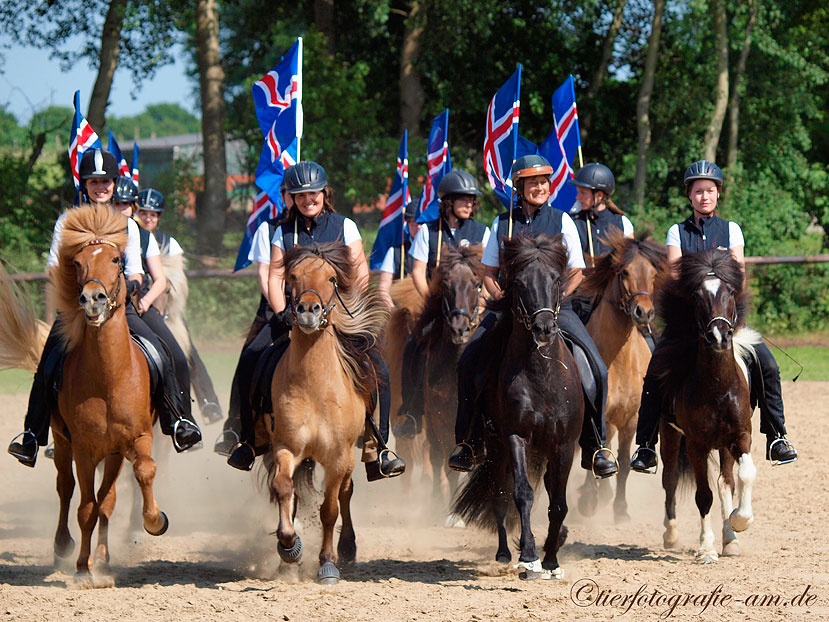 Quadrille