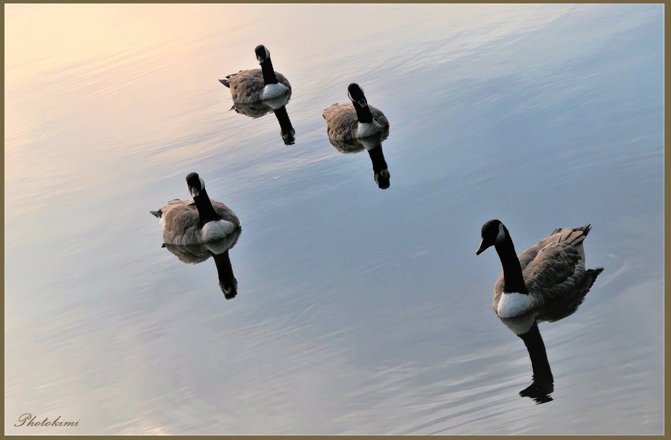 Quadrille auf dem Wasser (II)