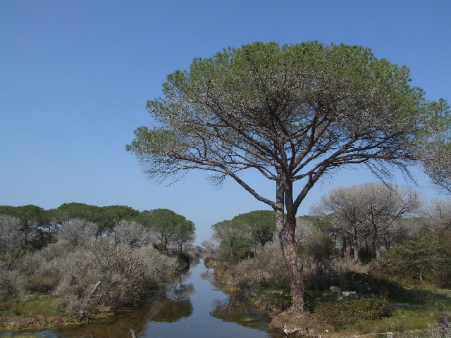 Quadro in Maremma