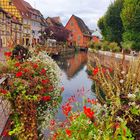 Quai de la Poissonnerie, Colmar 