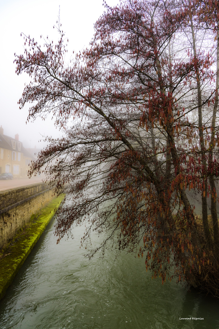 Quai du Beuvron Clamecy