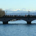 Quaibrücke vor ZüriSee und Alpen - Blick von der Limmat