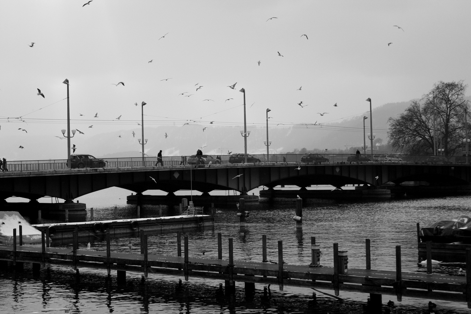 Quaibrücke Zürich