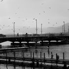 Quaibrücke Zürich