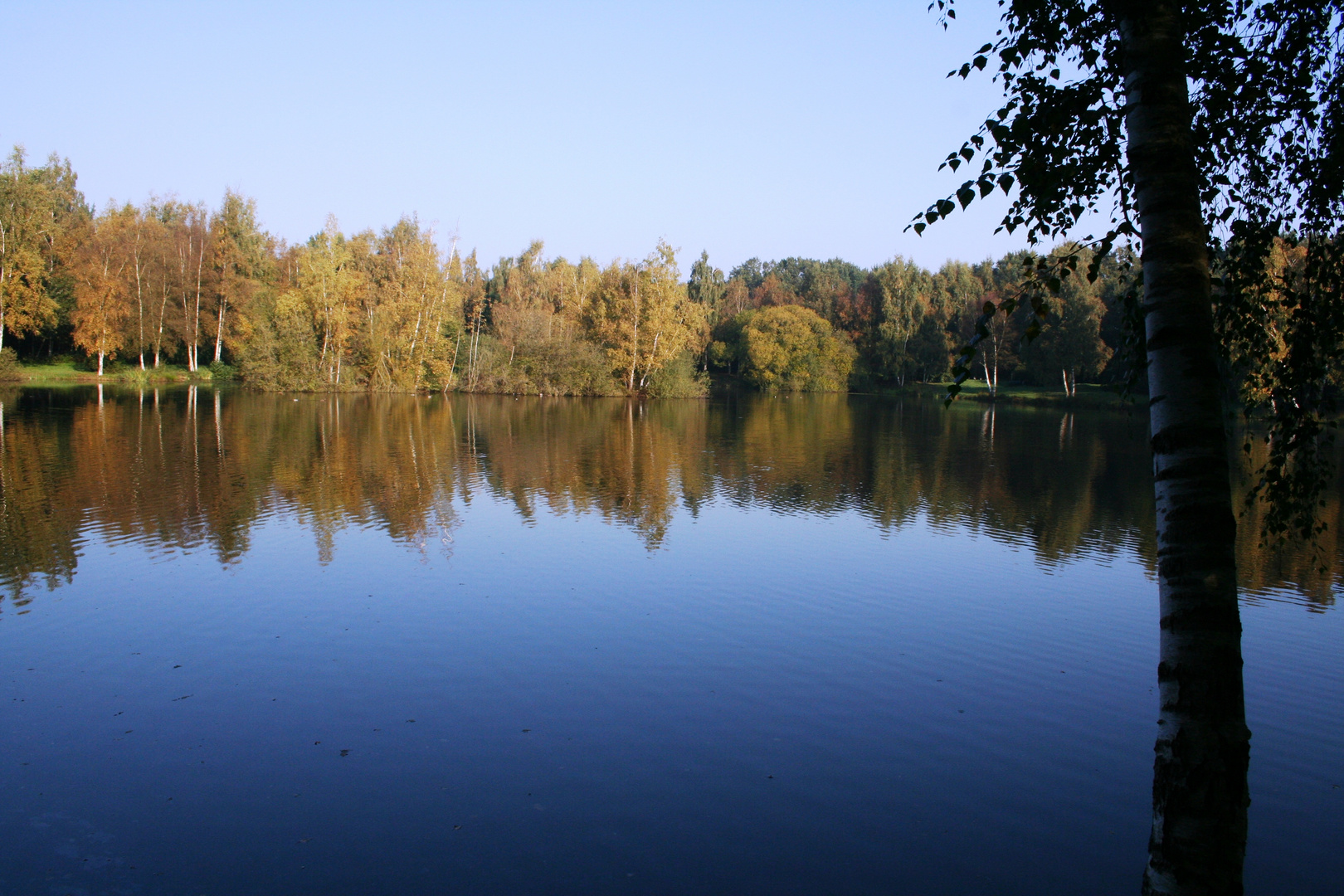 Quakenbrück Deichsee