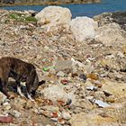 qualche novità? - ma la spiaggia, dov'è? (Sciacca)