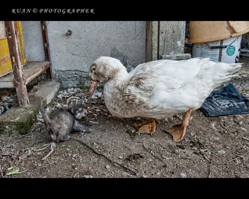 Qualcuno guarda troppo....