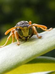 Qualcuno mi guarda!!!