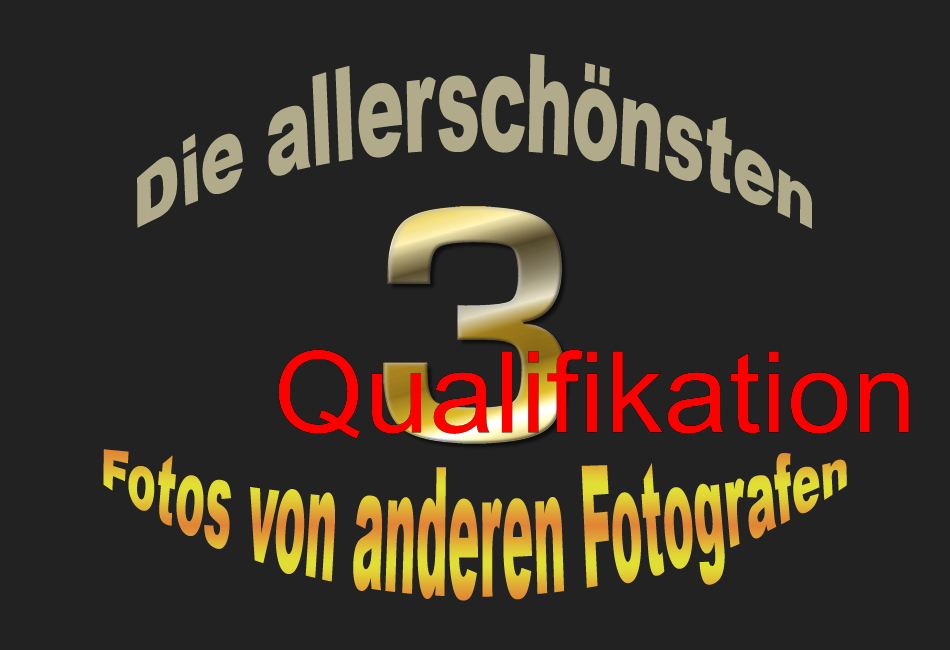 Quali zu Fotos aus meinen Favoriten