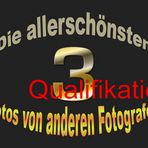 Quali zu Fotos aus meinen Favoriten