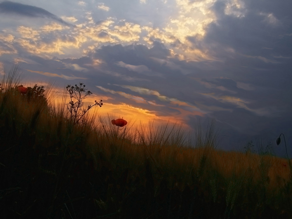 ....Qualsiasi luogo è magico...