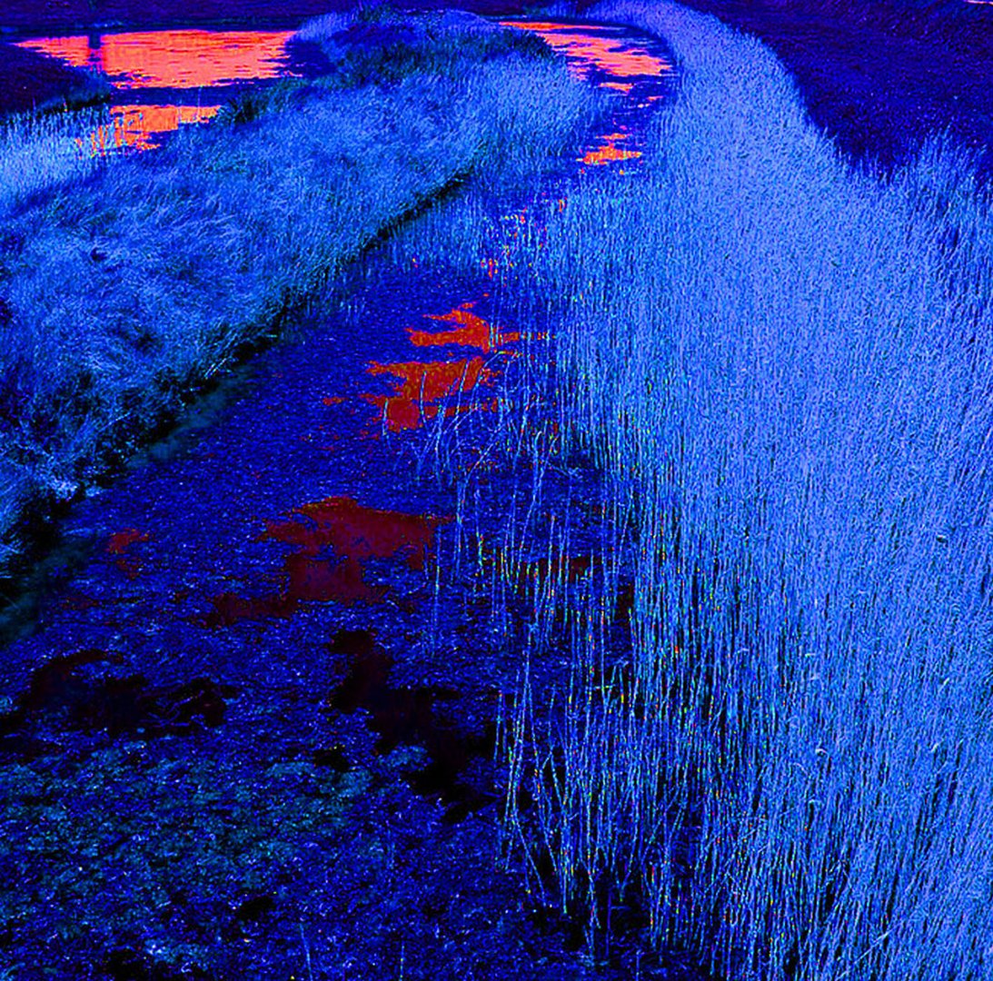 "Quand je n'ai pas de bleu,je mets du rouge."Pablo Picasso.