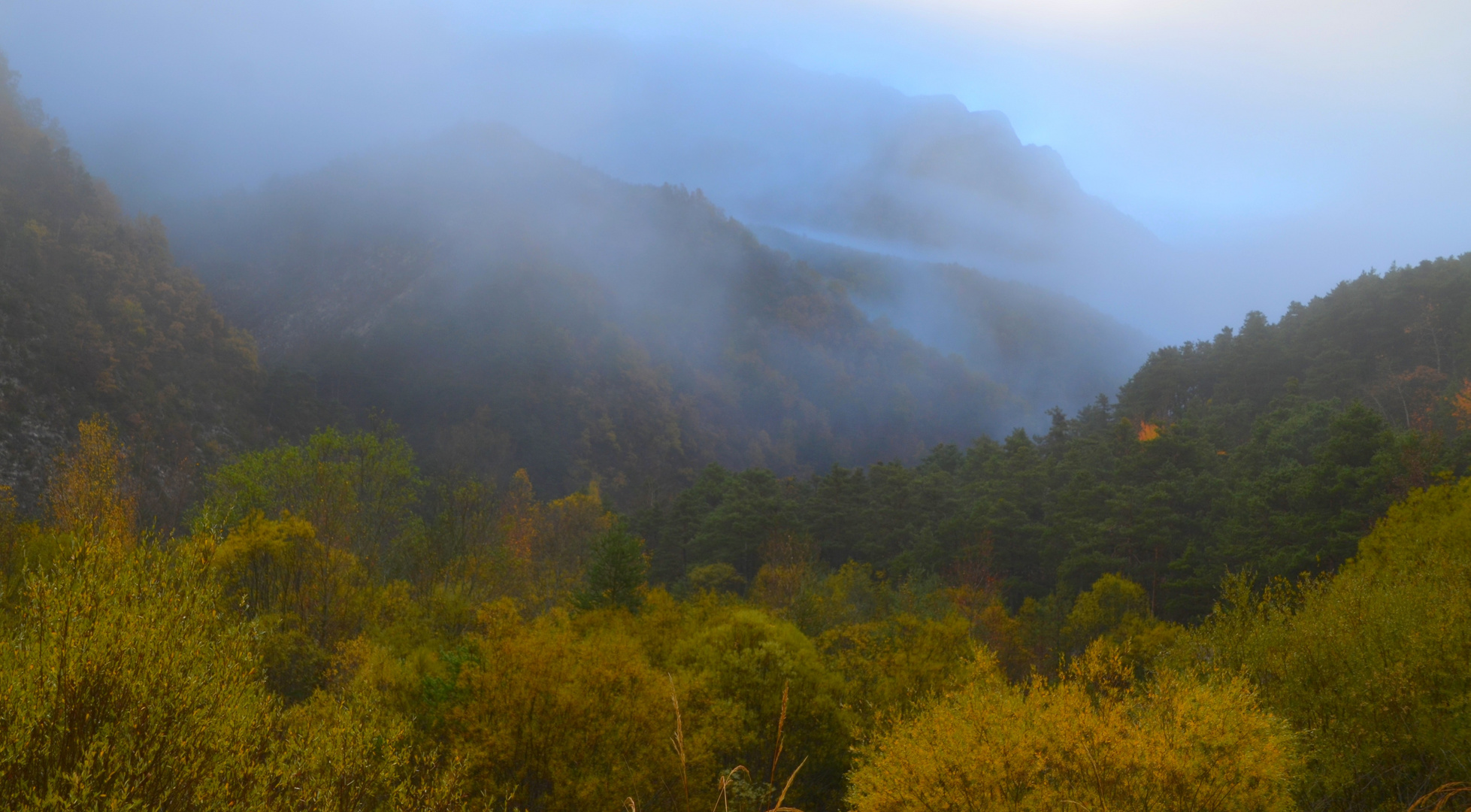 * quand la brume enveloppe les montagnes *