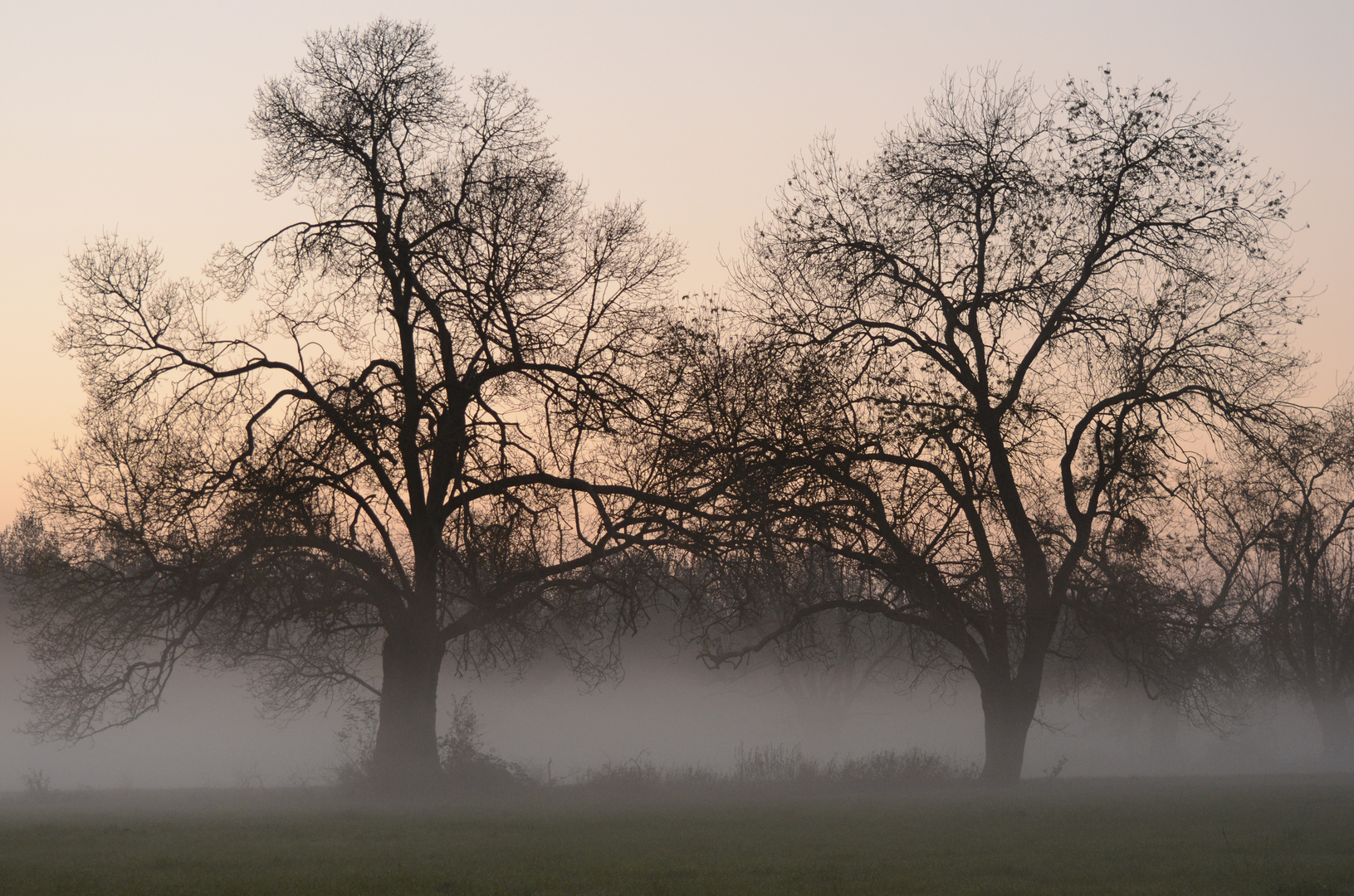 quand la brume se lève un soir d'automne