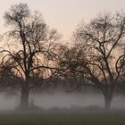 quand la brume se lève un soir d'automne