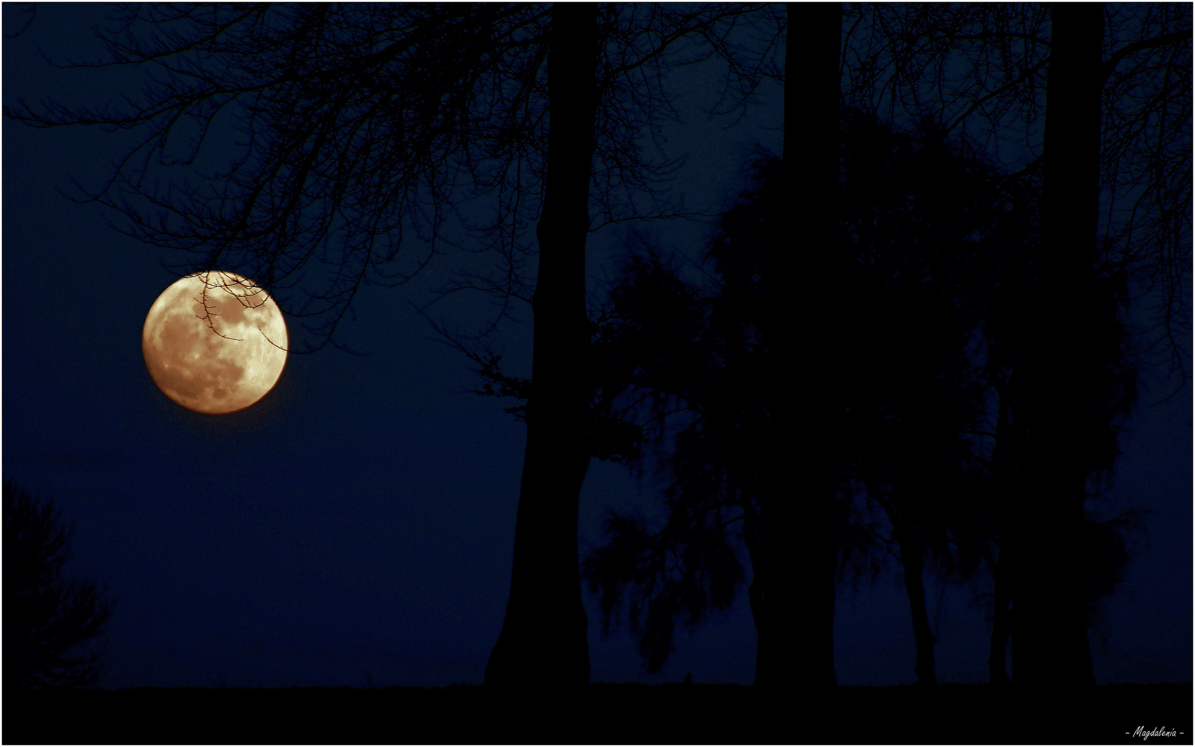 Quand la lune se met à danser .......