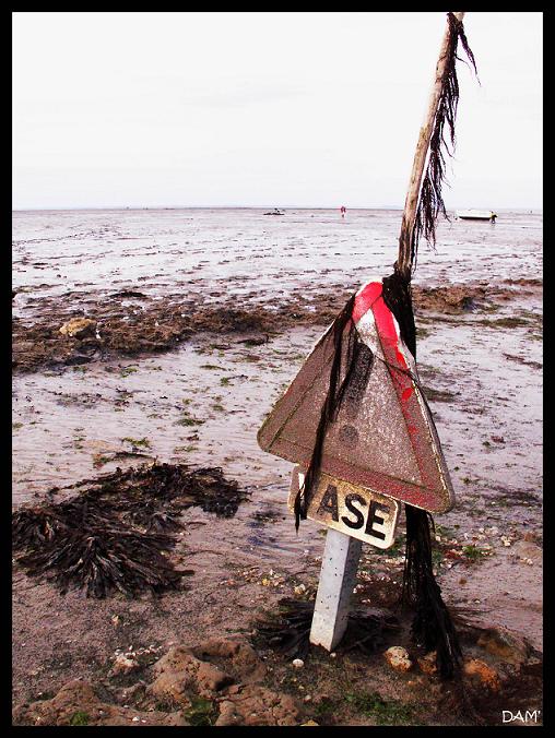 Quand la marée est basse au passage du Gois - Ile de Noirmoutier