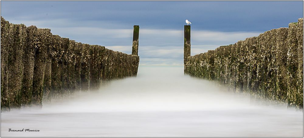 Quand la mer se fait ouate...