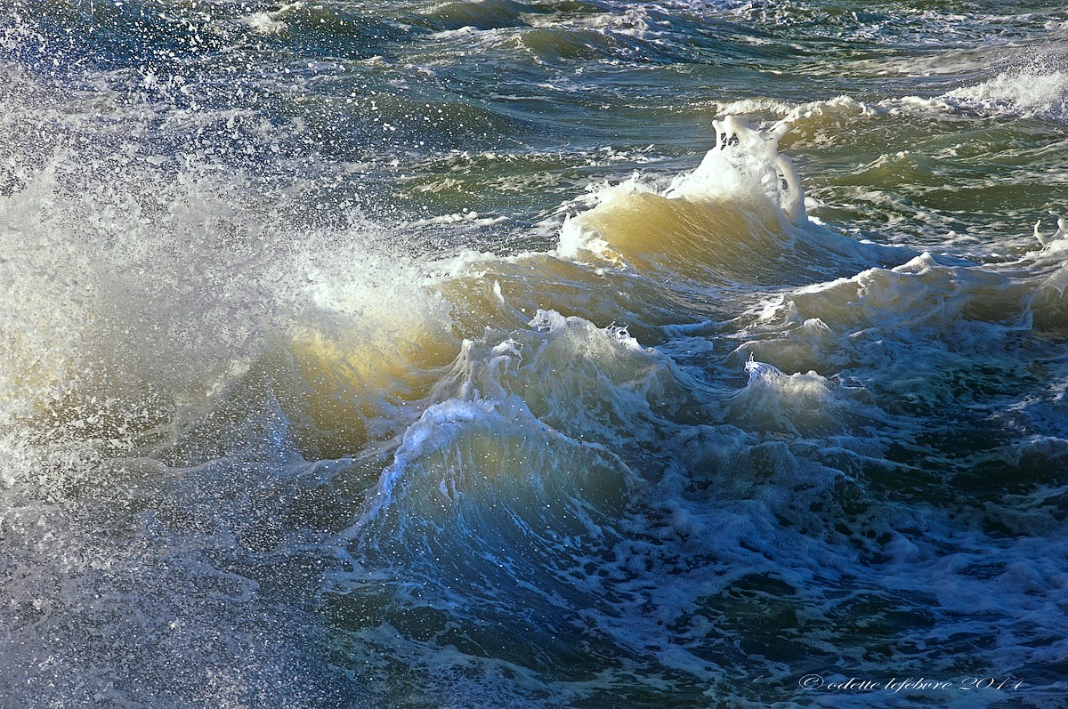 Quand la mer swingue