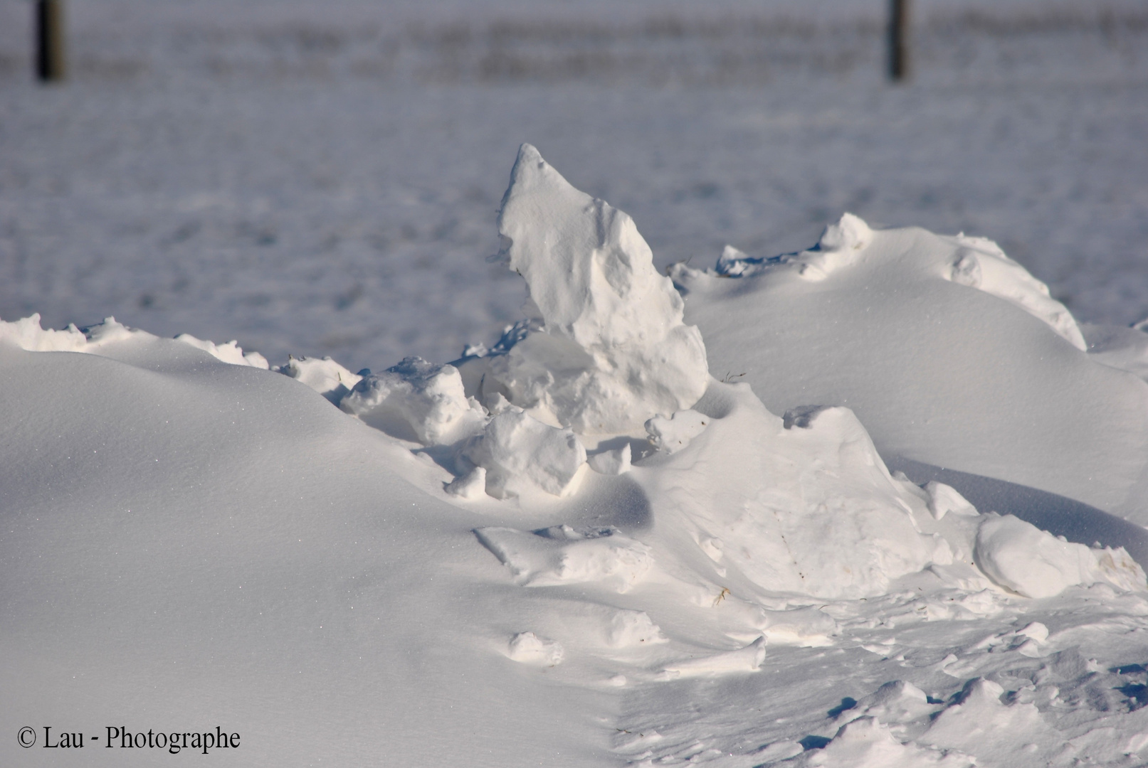 Quand la nature fait de l'art