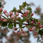 Quand la nature nous ouvre son coeur 2