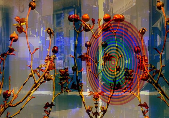 Quand la Nature rencontre l'Art 