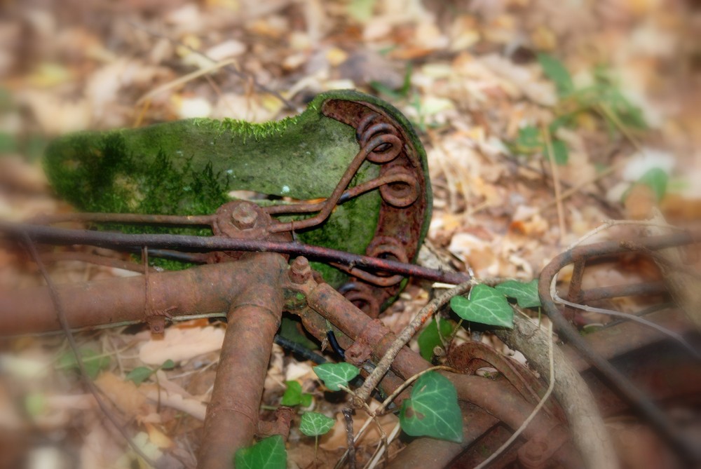 quand la nature reprend ses droits!