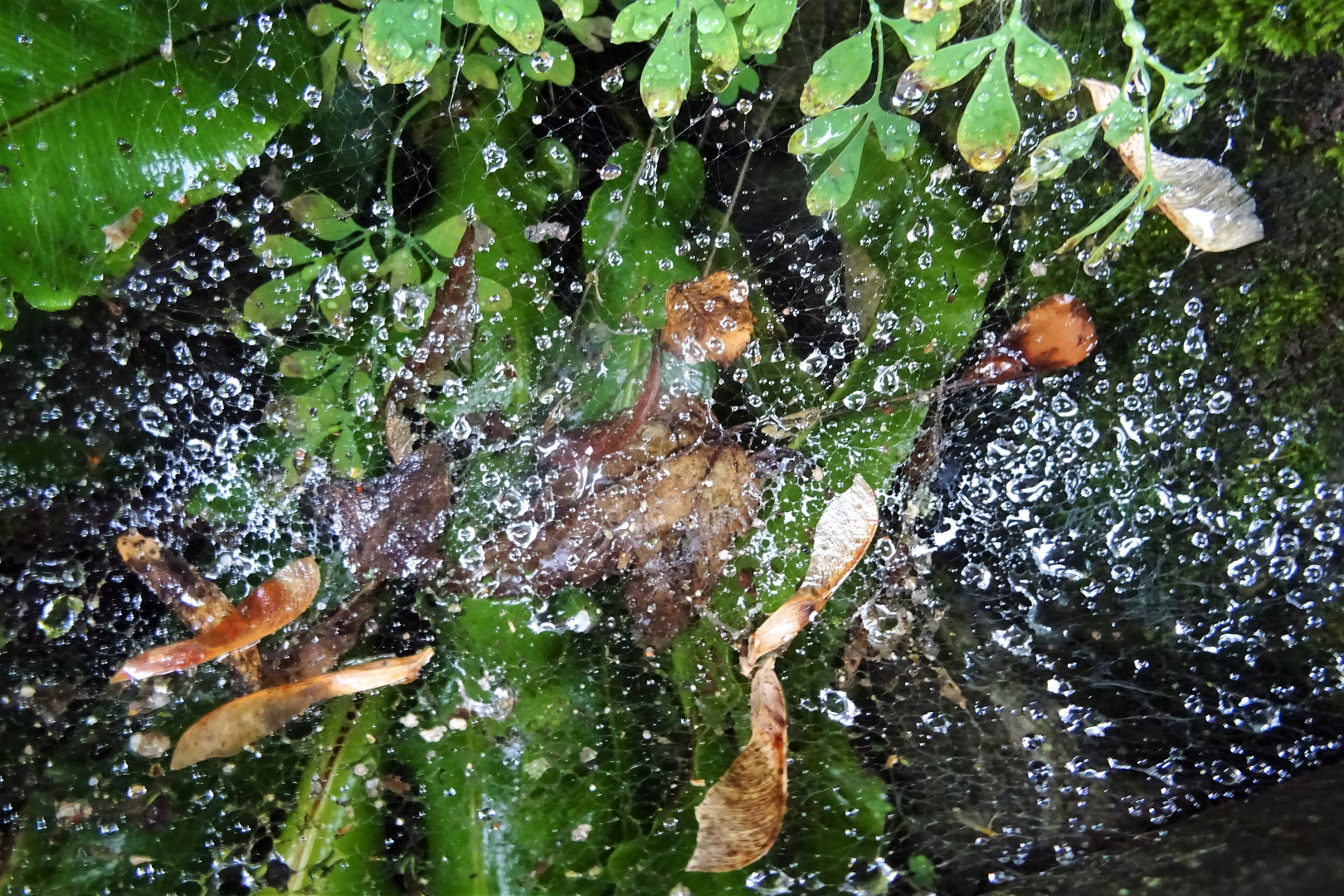 Quand la pluie est passée