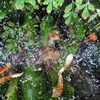 Quand la pluie est passée