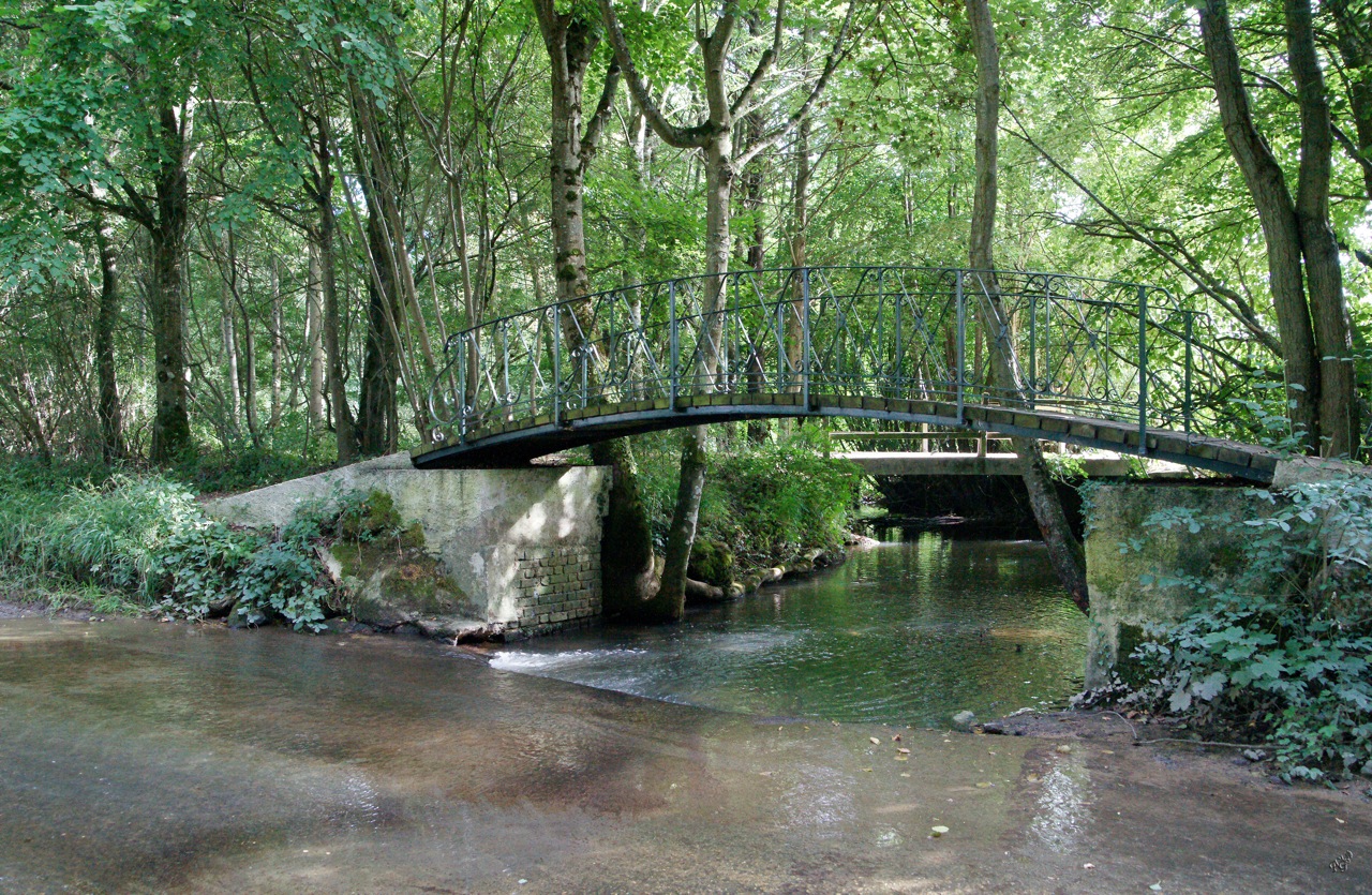 Quand la rivière déborde ...