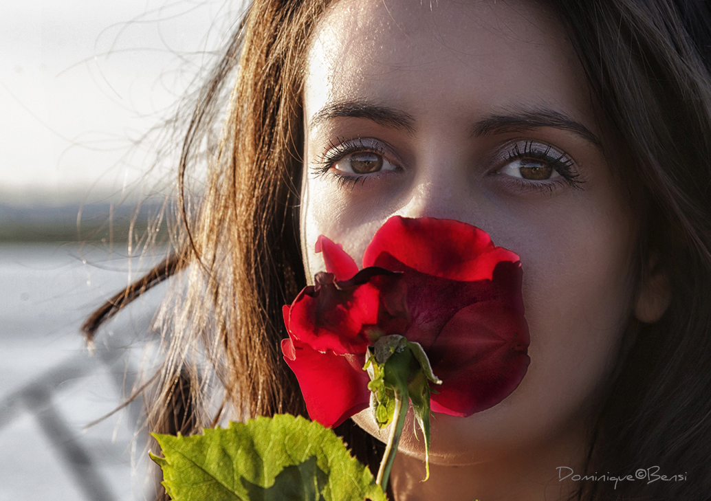 Quand la Rose ...