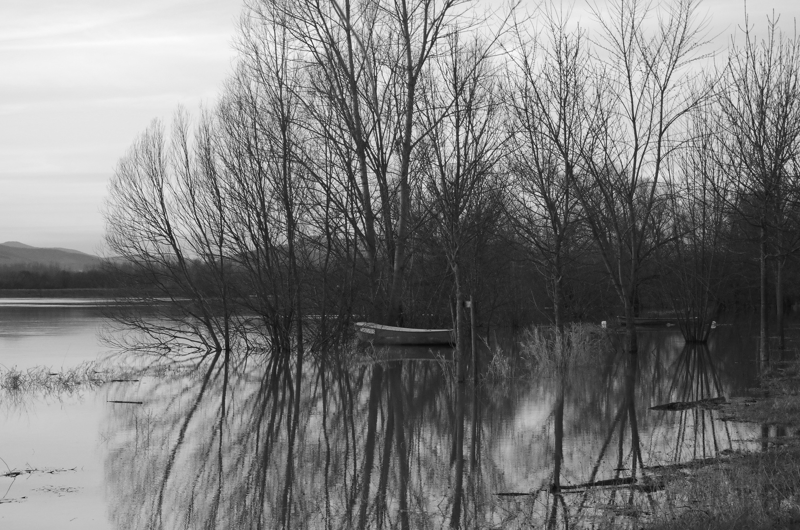 quand la Saône se fâche - février 2014 - Le Pont de Beauregard (Ain)