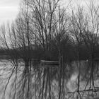 quand la Saône se fâche - février 2014 - Le Pont de Beauregard (Ain)