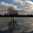 Quand la Seine prend la clé des champs