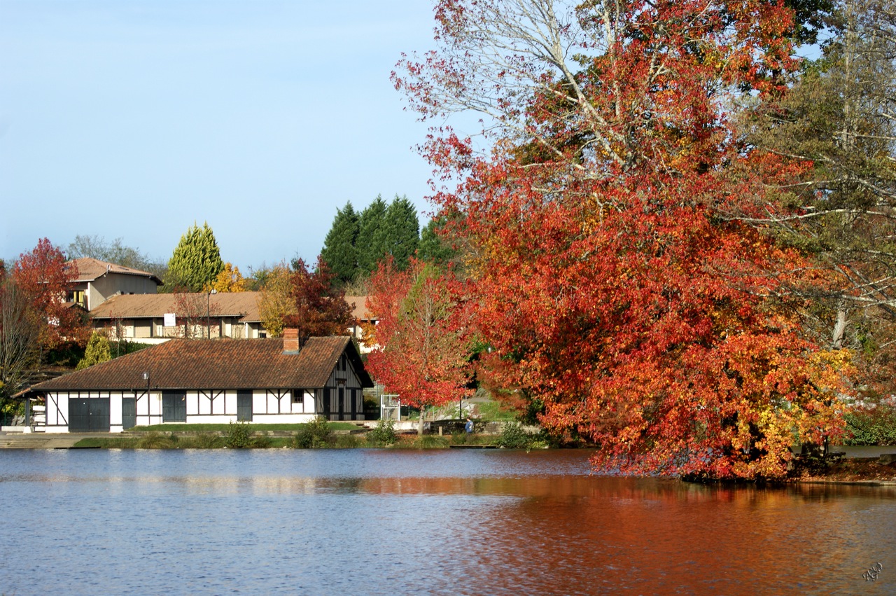 Quand l'automne devient comme un  rubis ......