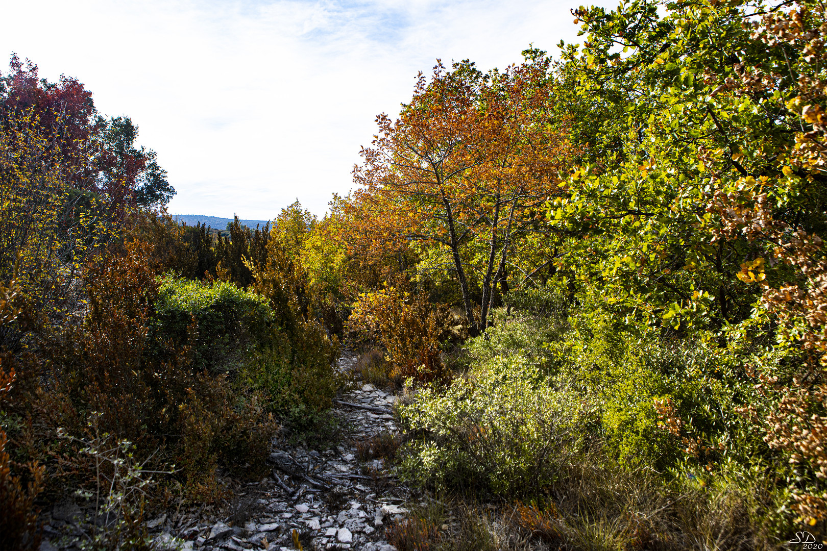 Quand l'automne s'installe 