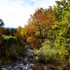 Quand l'automne s'installe 